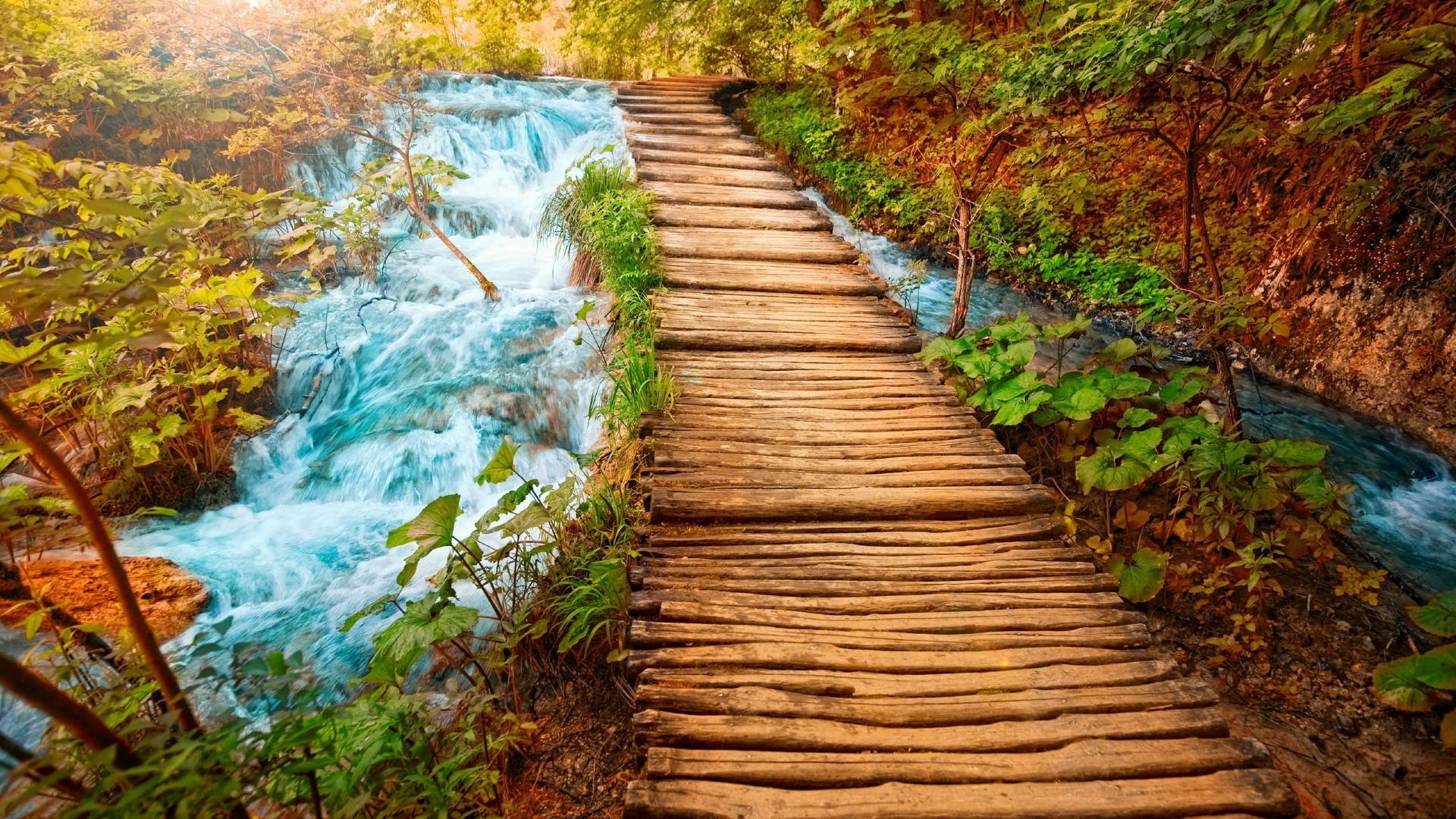 1920x1080 Full Hd Nature Wooden Pathway Wallpaper