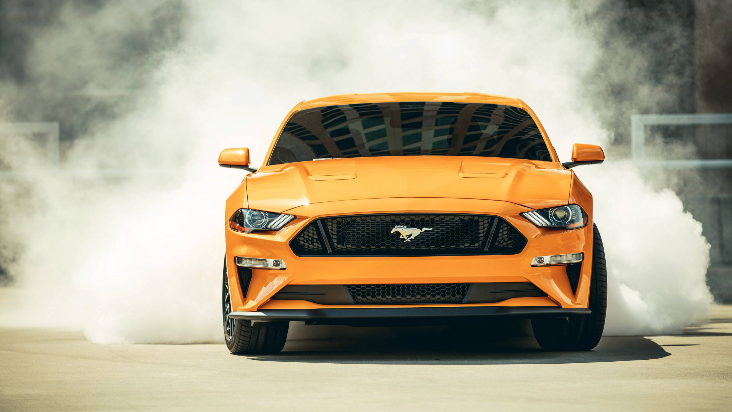 2560x1440 Car Yellow 2019 Ford Mustang Wallpaper