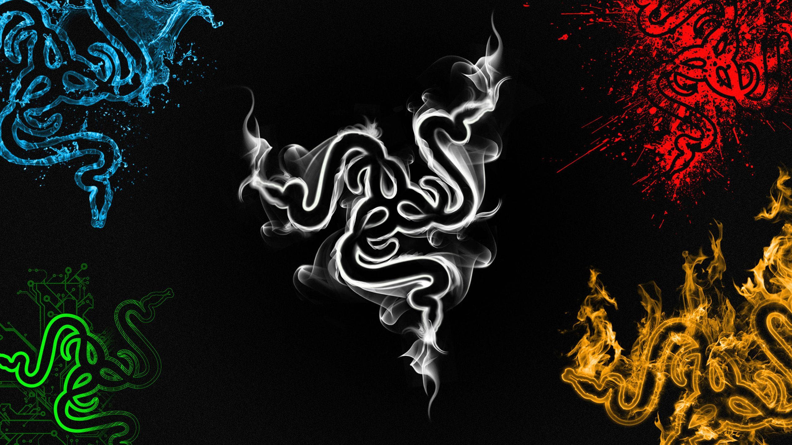 2560x1440 Gaming Razer Brand Logo Wallpaper