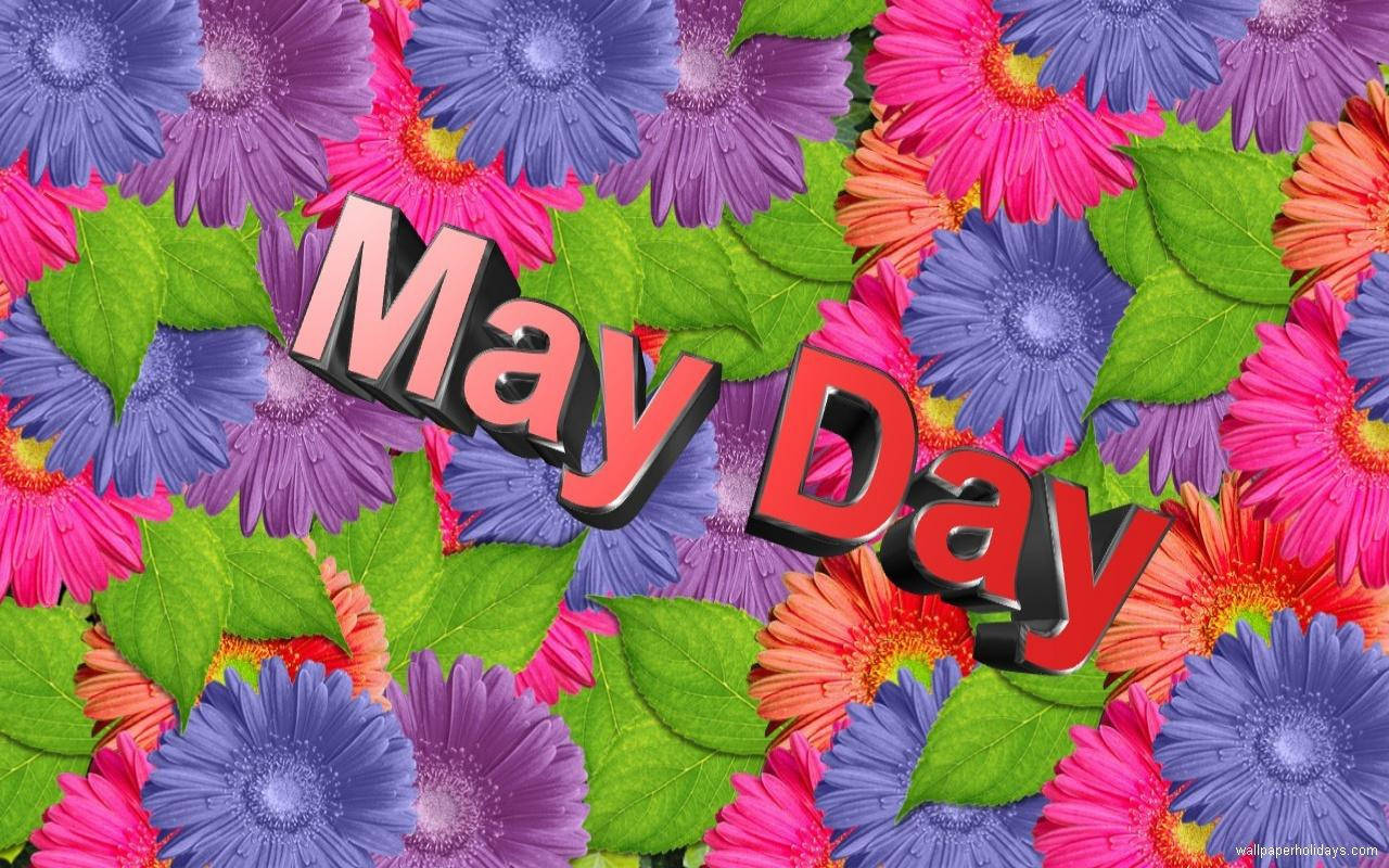 3d May Day Colorful Flowers Artwork Wallpaper
