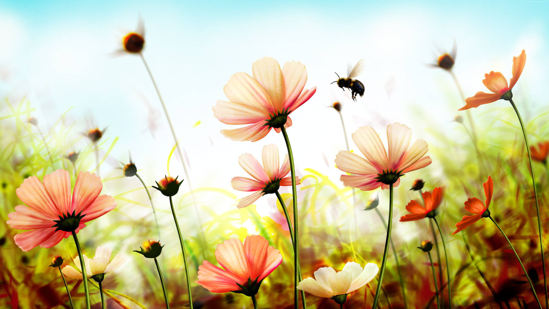 4k spring wallpaper sales