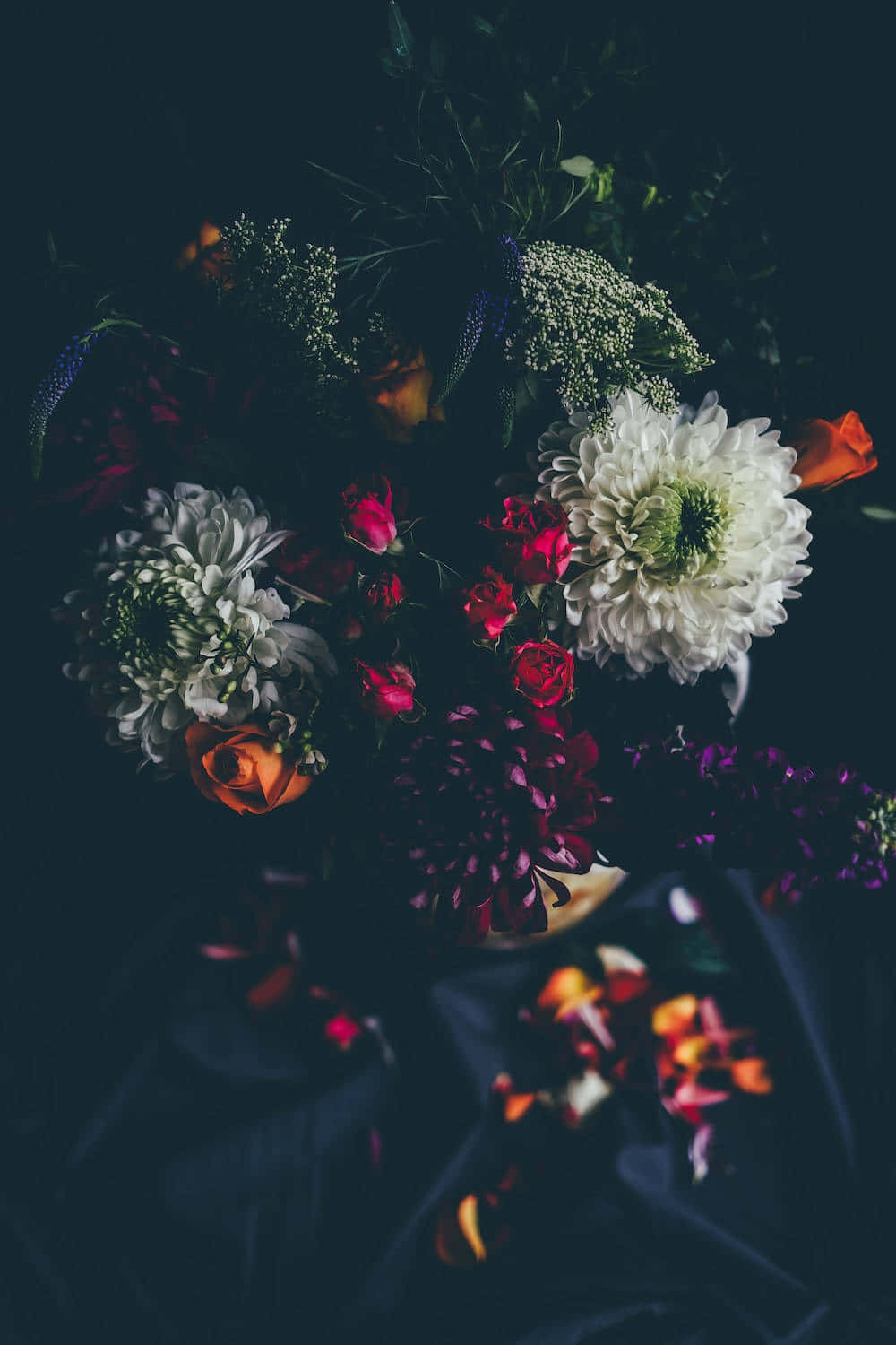 A Beautiful Flower Blooming In The Dark Wallpaper