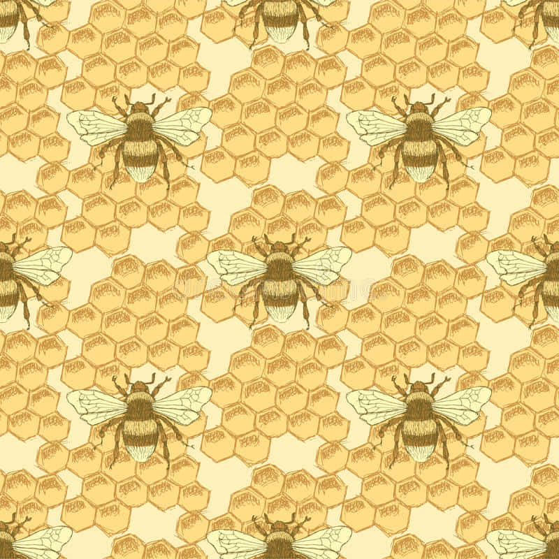 A Beautiful Vintage Bee In A Summer Meadow. Wallpaper