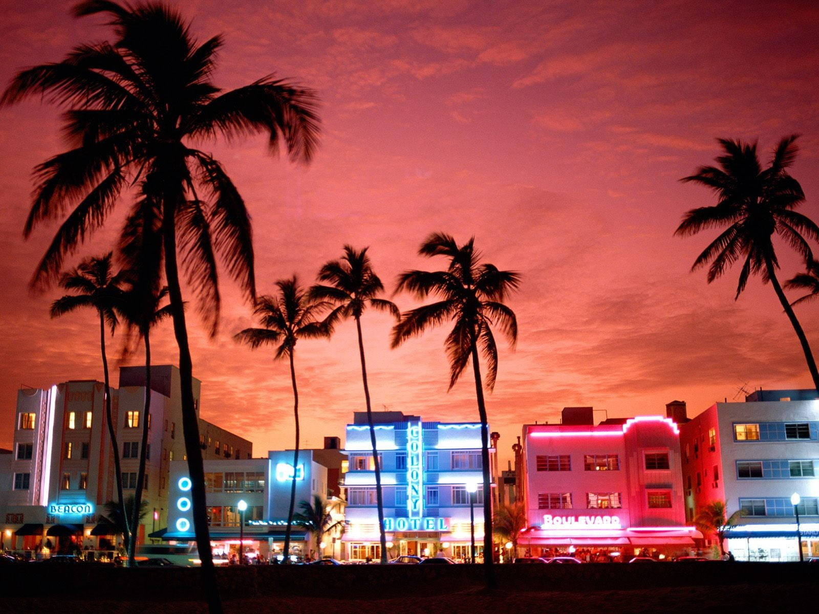 A Blissful Miami Sunset Framed By Palm Trees Wallpaper