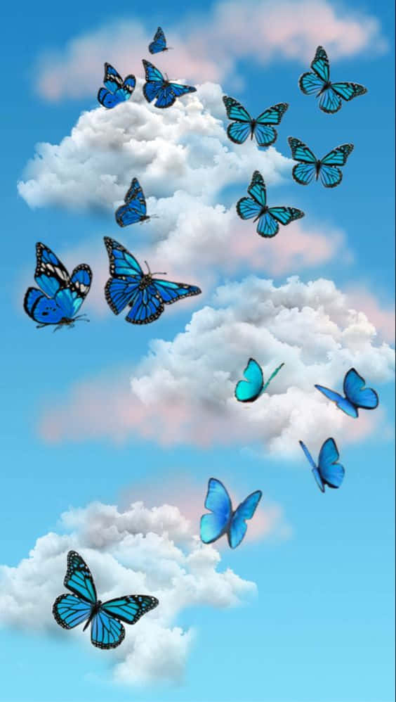 A Cool Blue And Pink Butterfly On A Leaf. Wallpaper