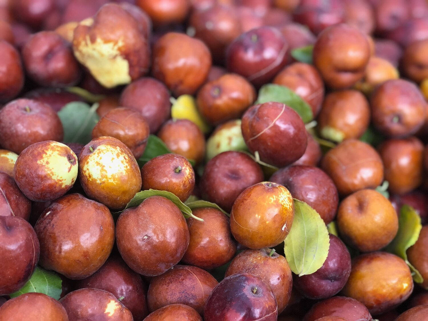 A Delicious Heap Of Jujube Fruits Wallpaper