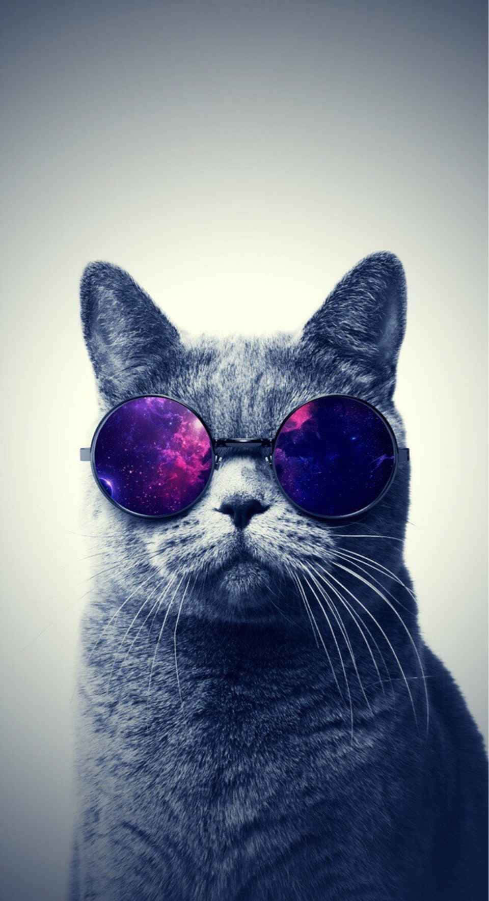 A Galactic Cat Soaring Through The Stars Wallpaper