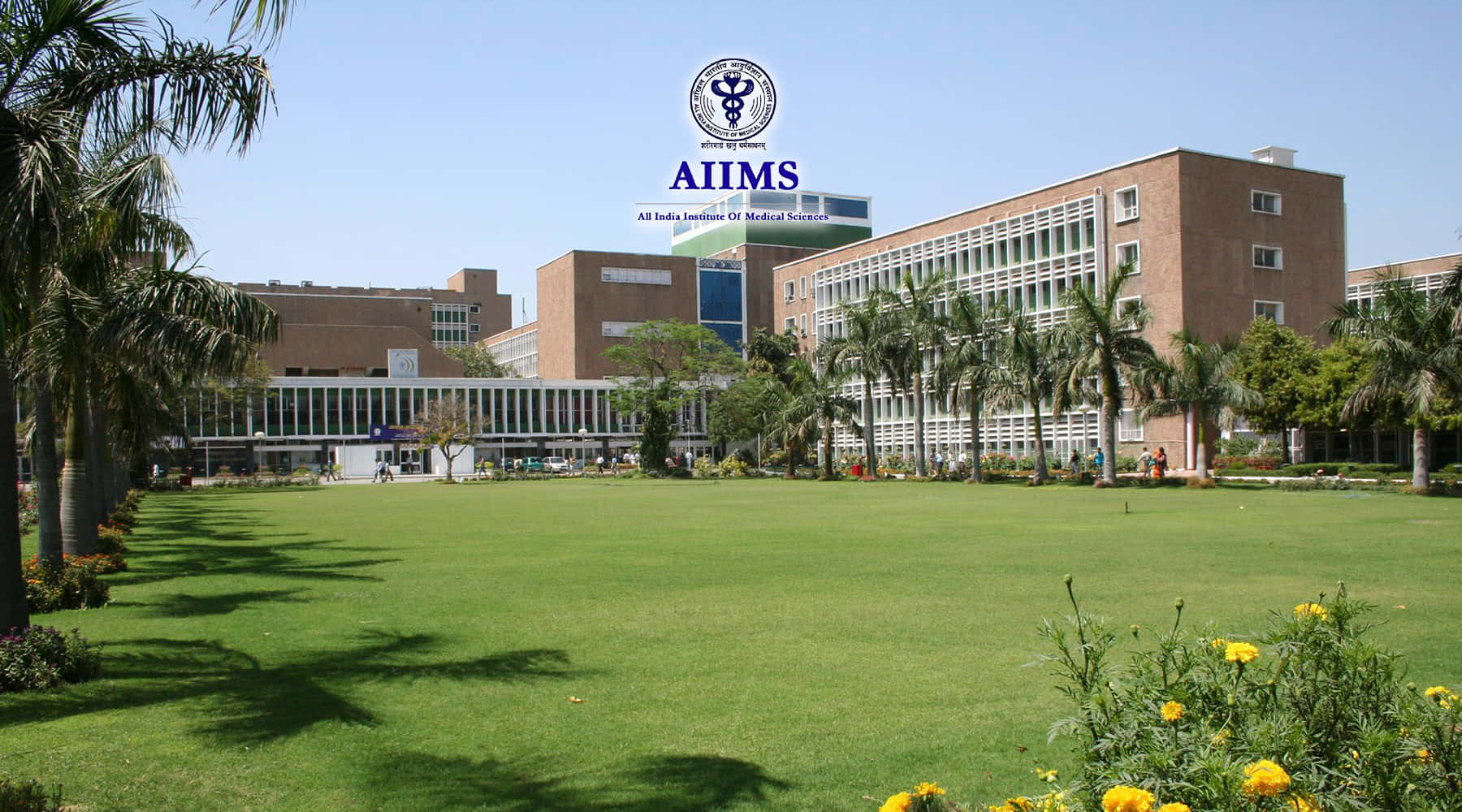 A I I M S Hospital Exterior View Wallpaper