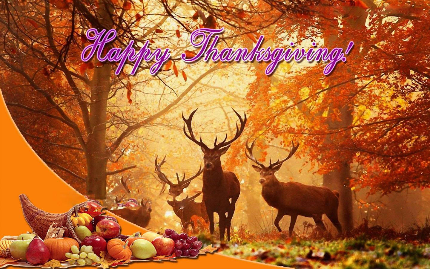 “a Magical Thanksgiving Day In The Forest” Wallpaper