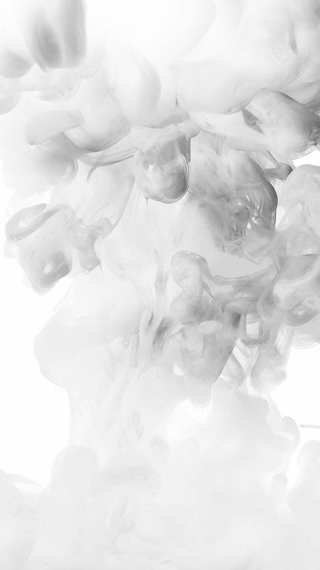 A Mystical White Fog Wallpaper