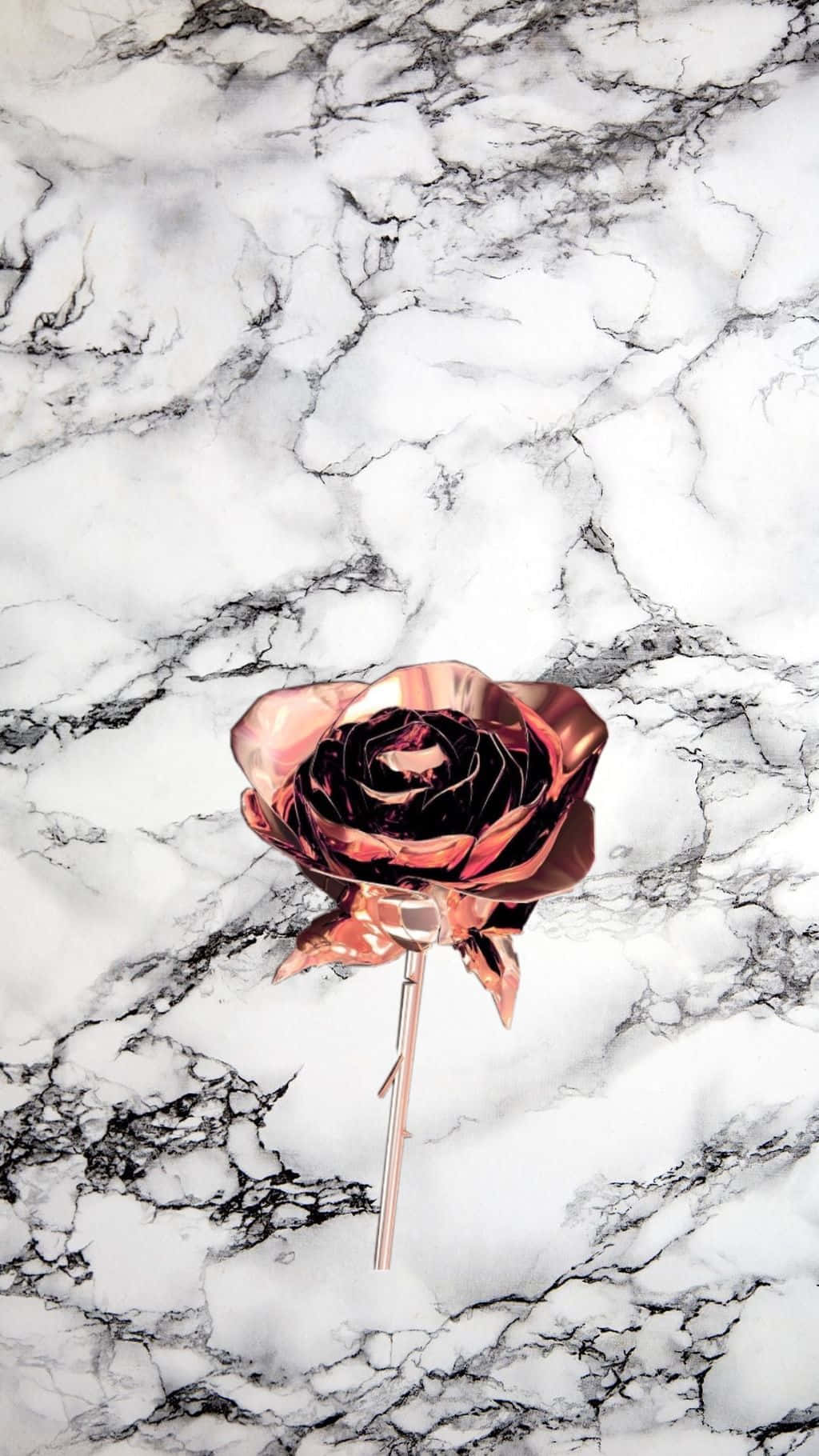 A Rose On A Marble Surface Wallpaper