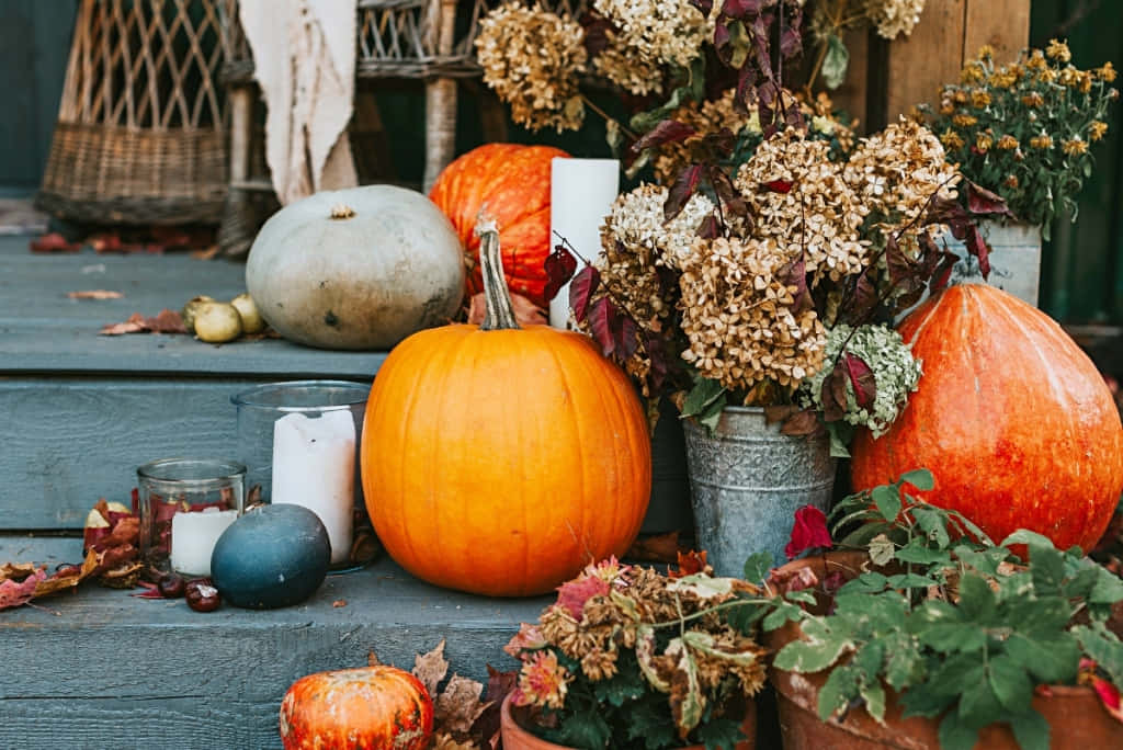 A Scenic Display Of Colorful Fall Pumpkins Wallpaper