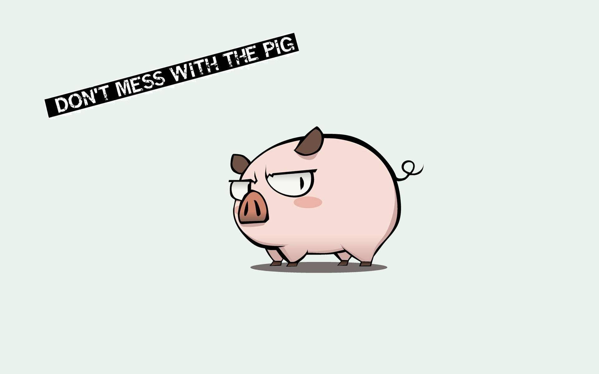 A Stern Piggy Warning Wallpaper