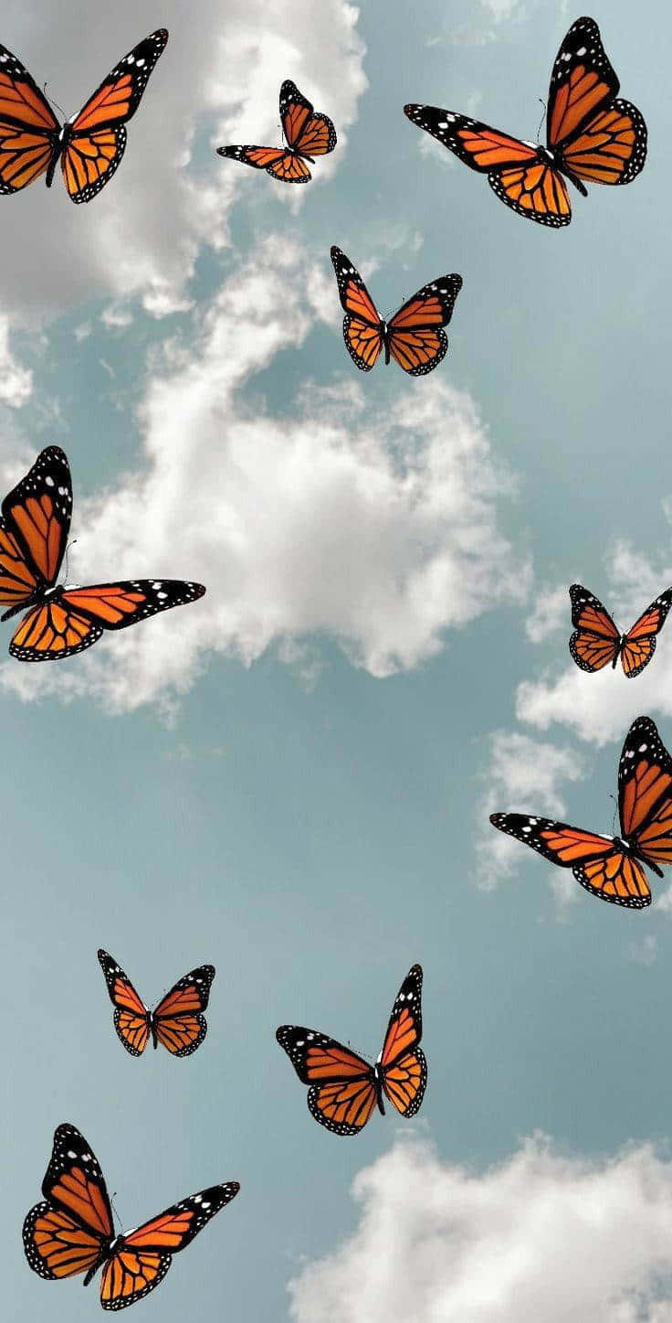 A Stunning Kaleidoscope Of Monarch Butterflies In The Sky Wallpaper