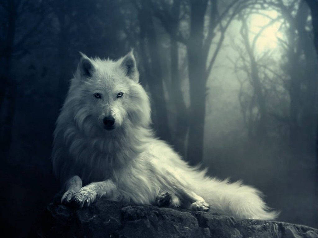 A White Wolf In The Forest Wallpaper