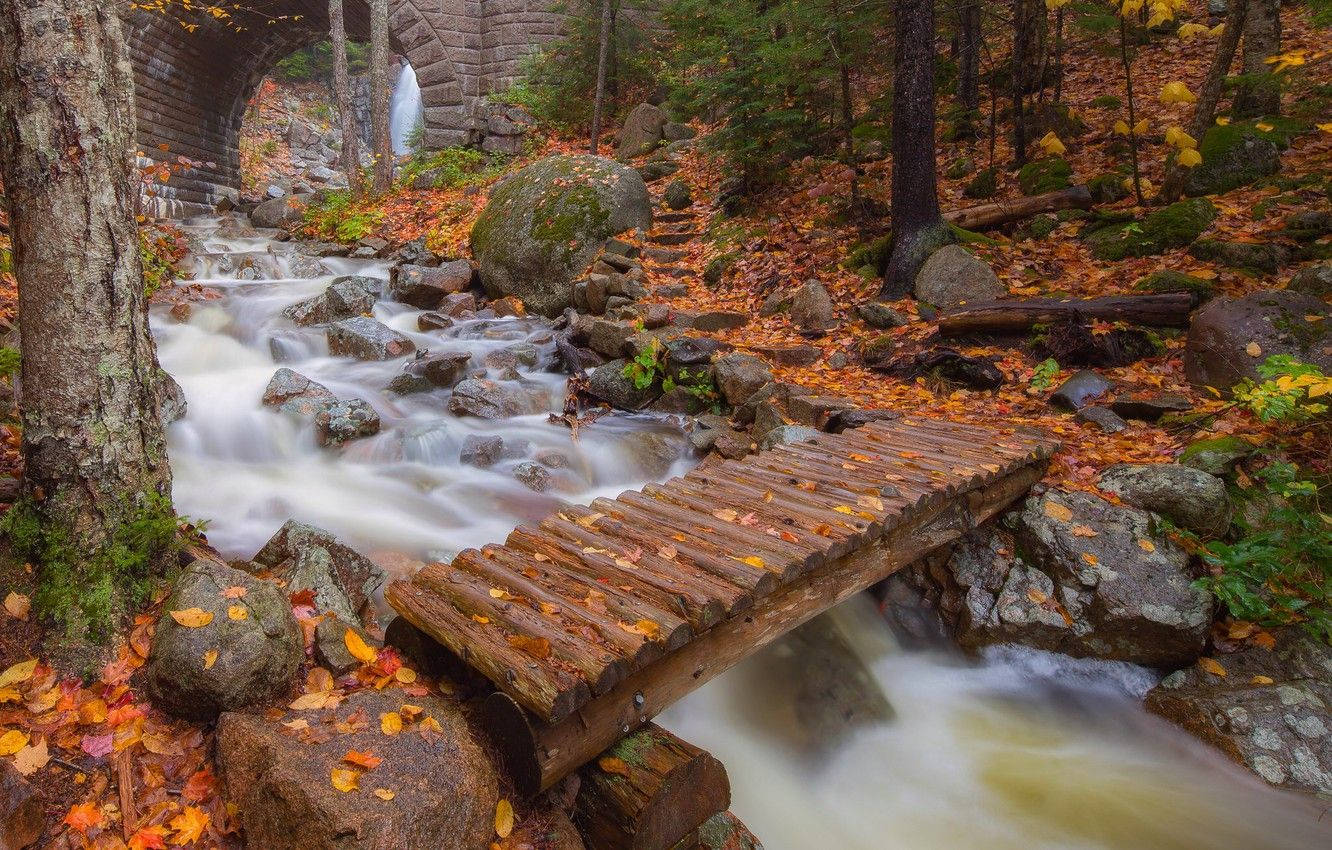 Acadia National Park Bridge Wallpaper