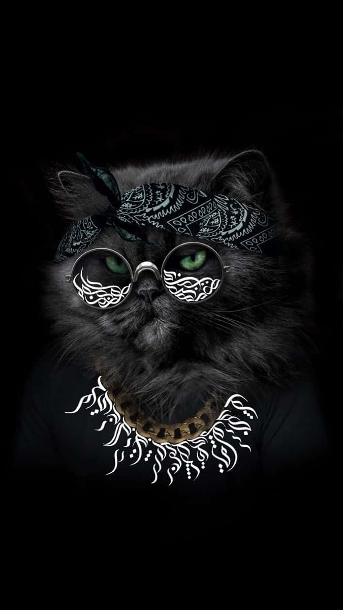 Accessorized Boss Cat Wallpaper