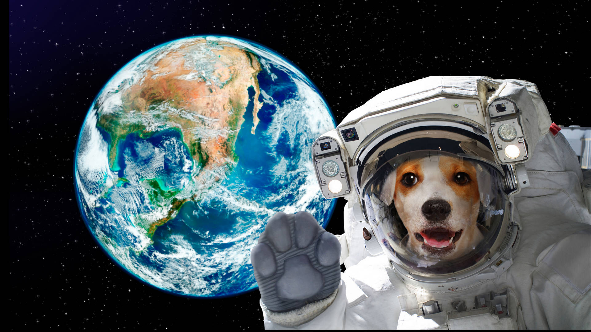 Adorable Astronaut Dog Wallpaper