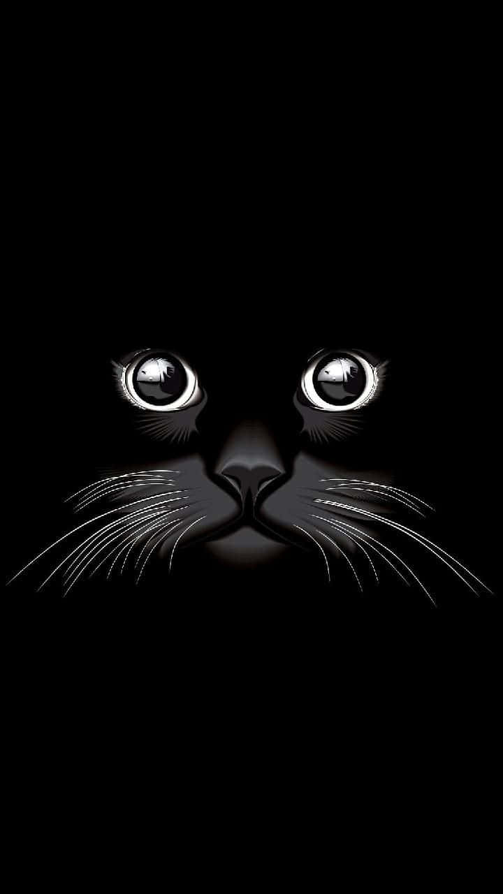Adorable Black Cat Eyes Graphic Art Wallpaper