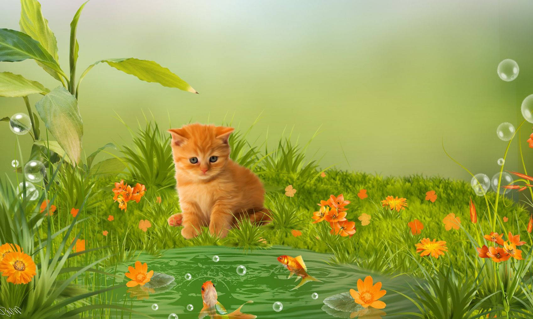Adorable Kitten Animal Wallpaper