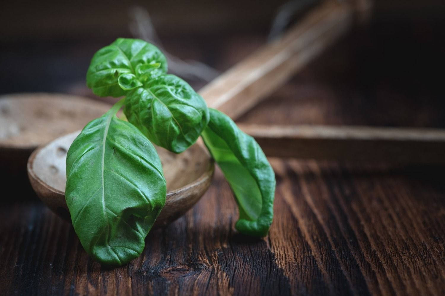 Aesthetic Basil Kitchen Herb On Wooden Surface Wallpaper