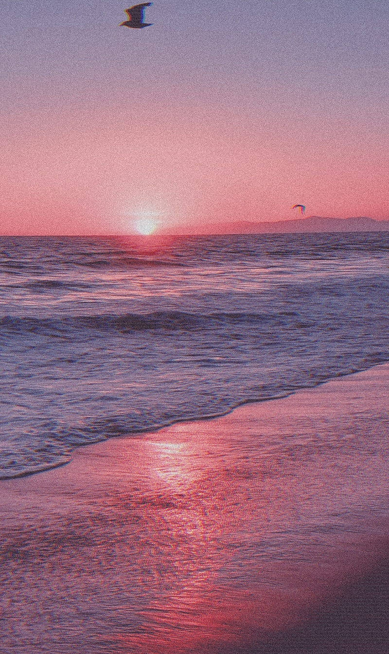 Aesthetic Beach Pink Sunset Wallpaper