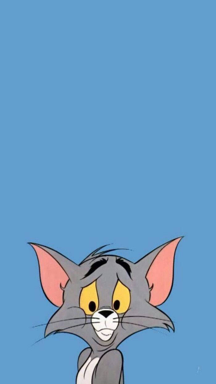 Aesthetic Cartoon Looking Confused Tom Wallpaper