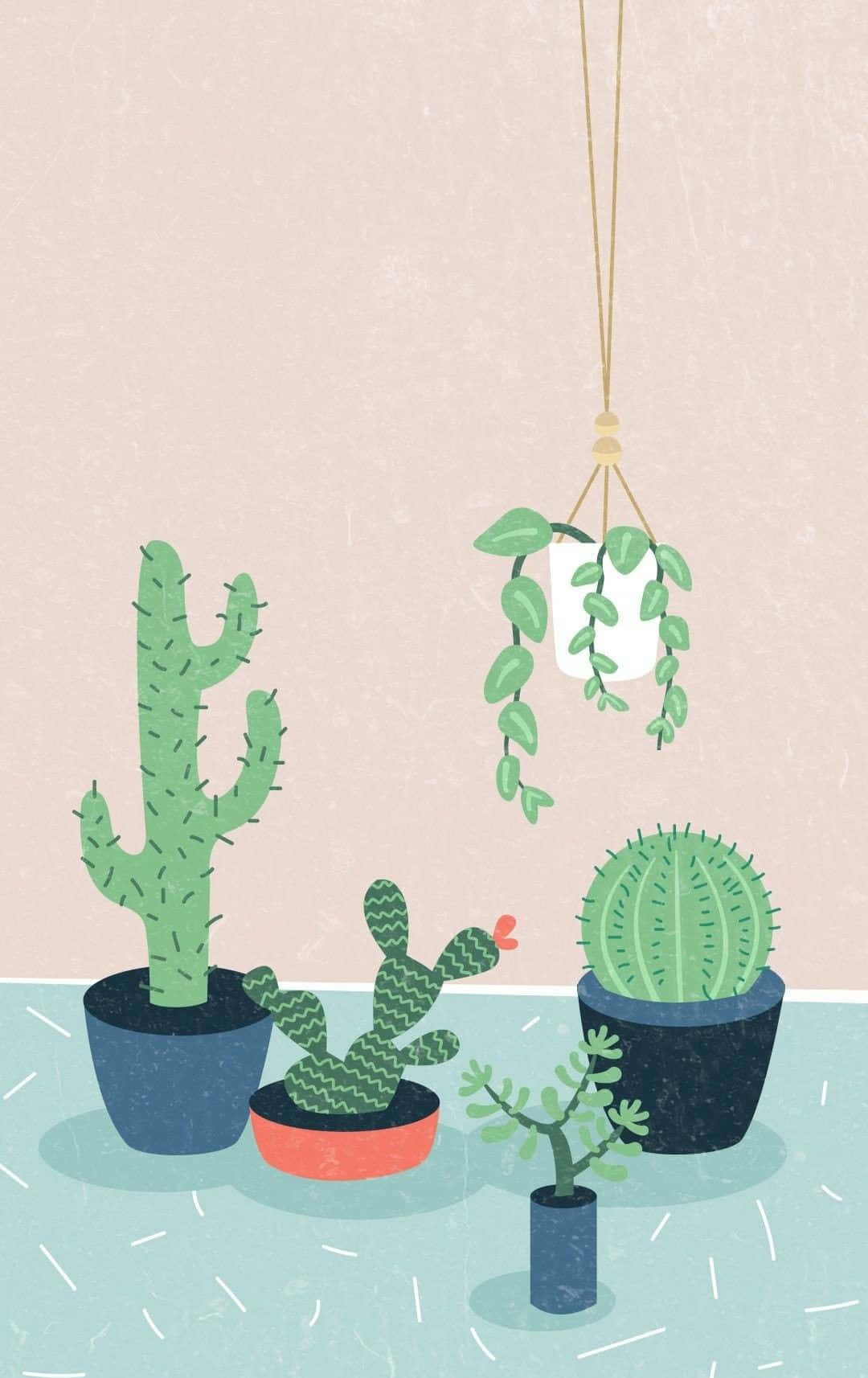 Aesthetic Cactus Wallpapers | WallpapersOK
