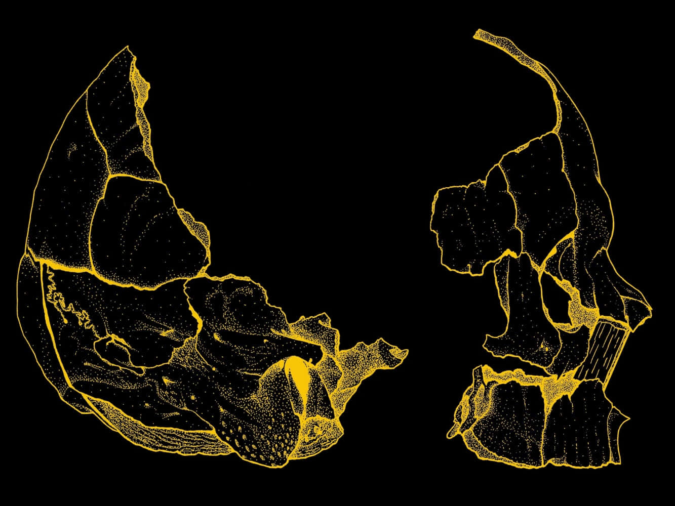 Aesthetic Grunge Desktop Yellow Skull Wallpaper