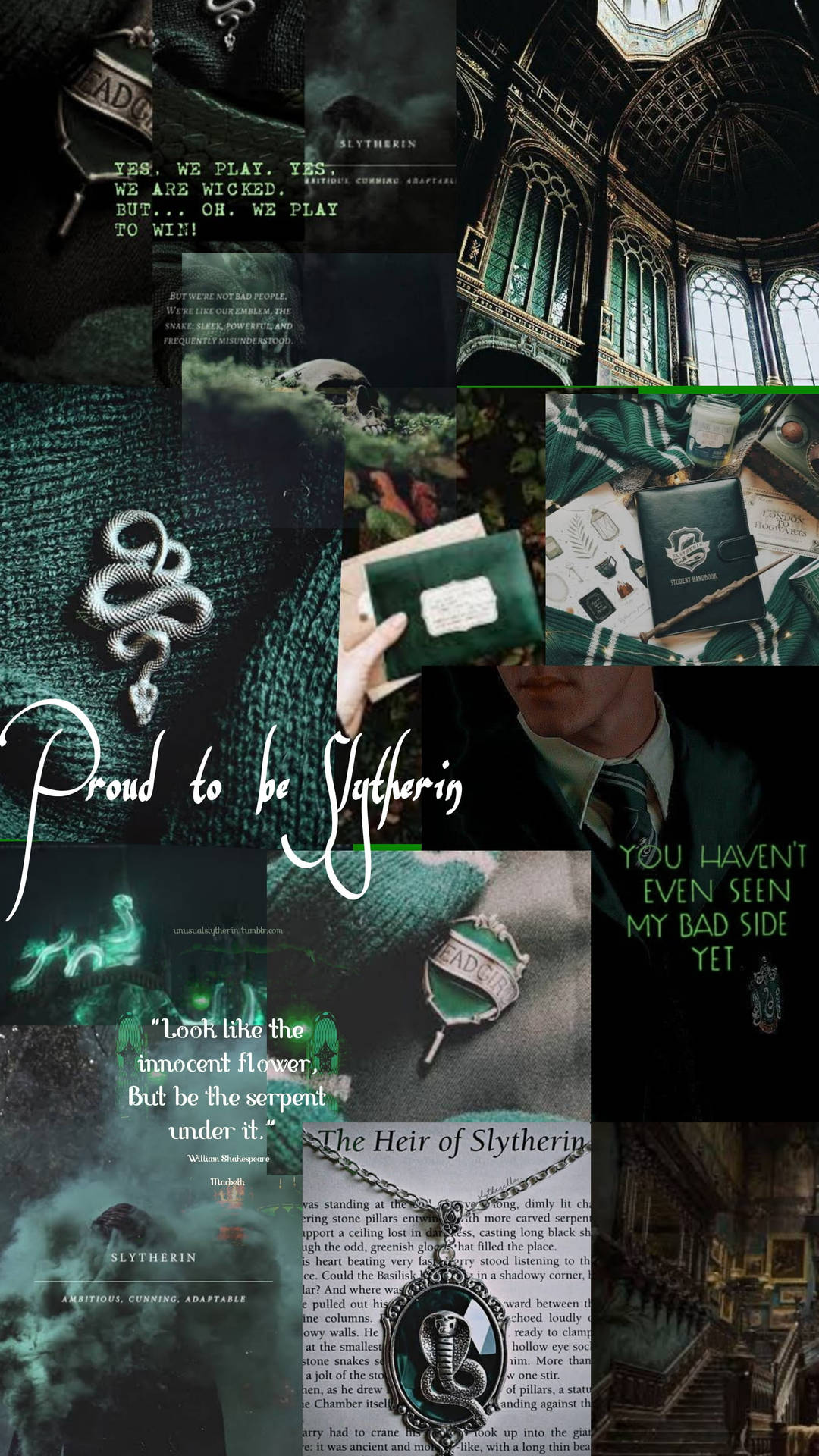Aesthetic Harry Potter Proud Slytherin Wallpaper WallpapersOK