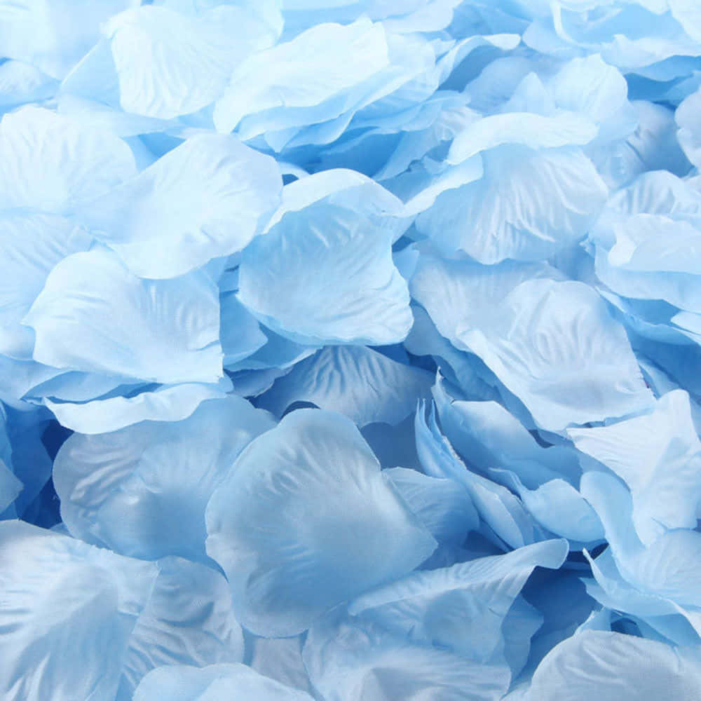 Aesthetic Light Blue Flower Petals Wallpaper