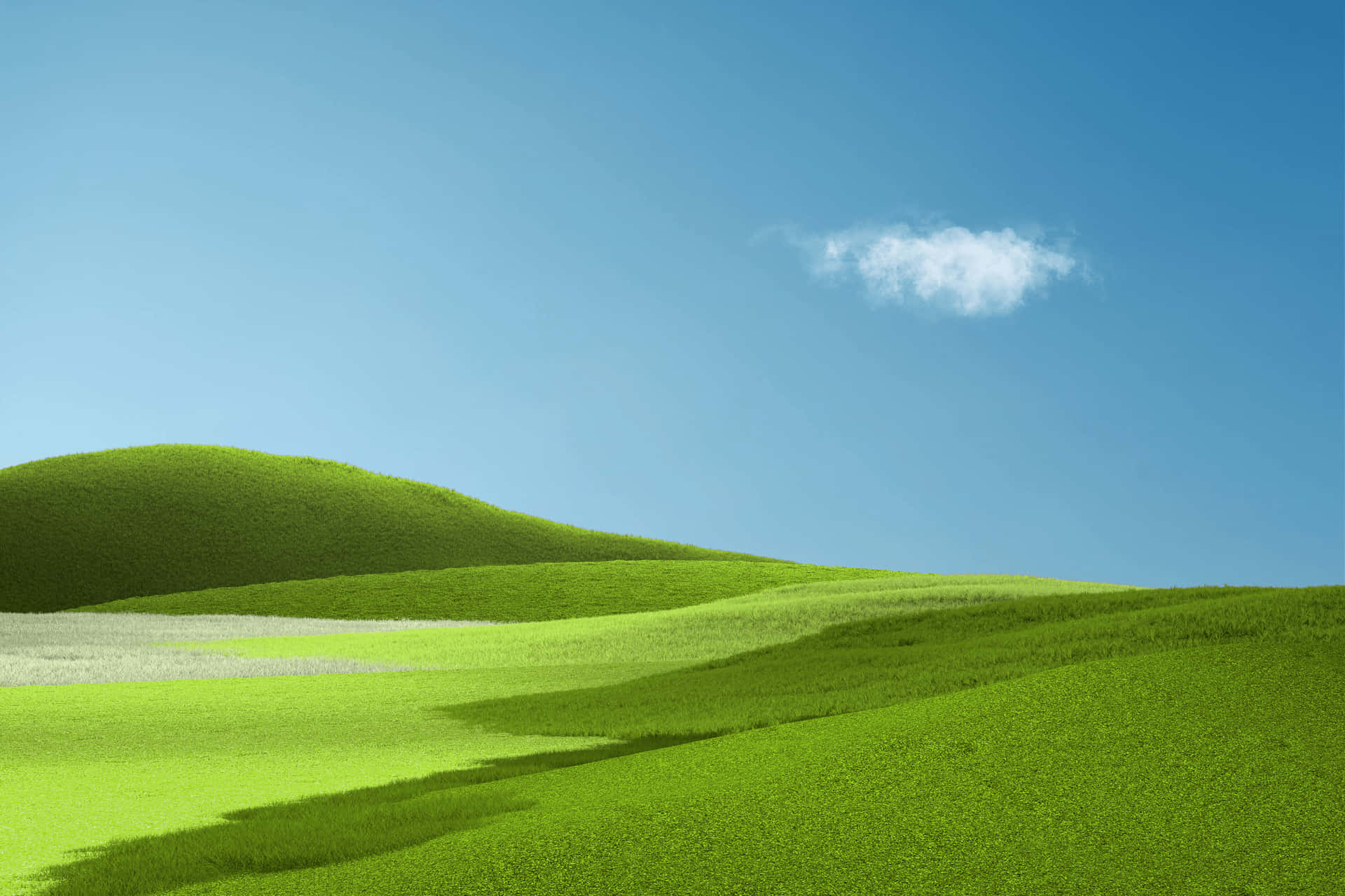 Aesthetic Nature With A Green Meadow Wallpaper