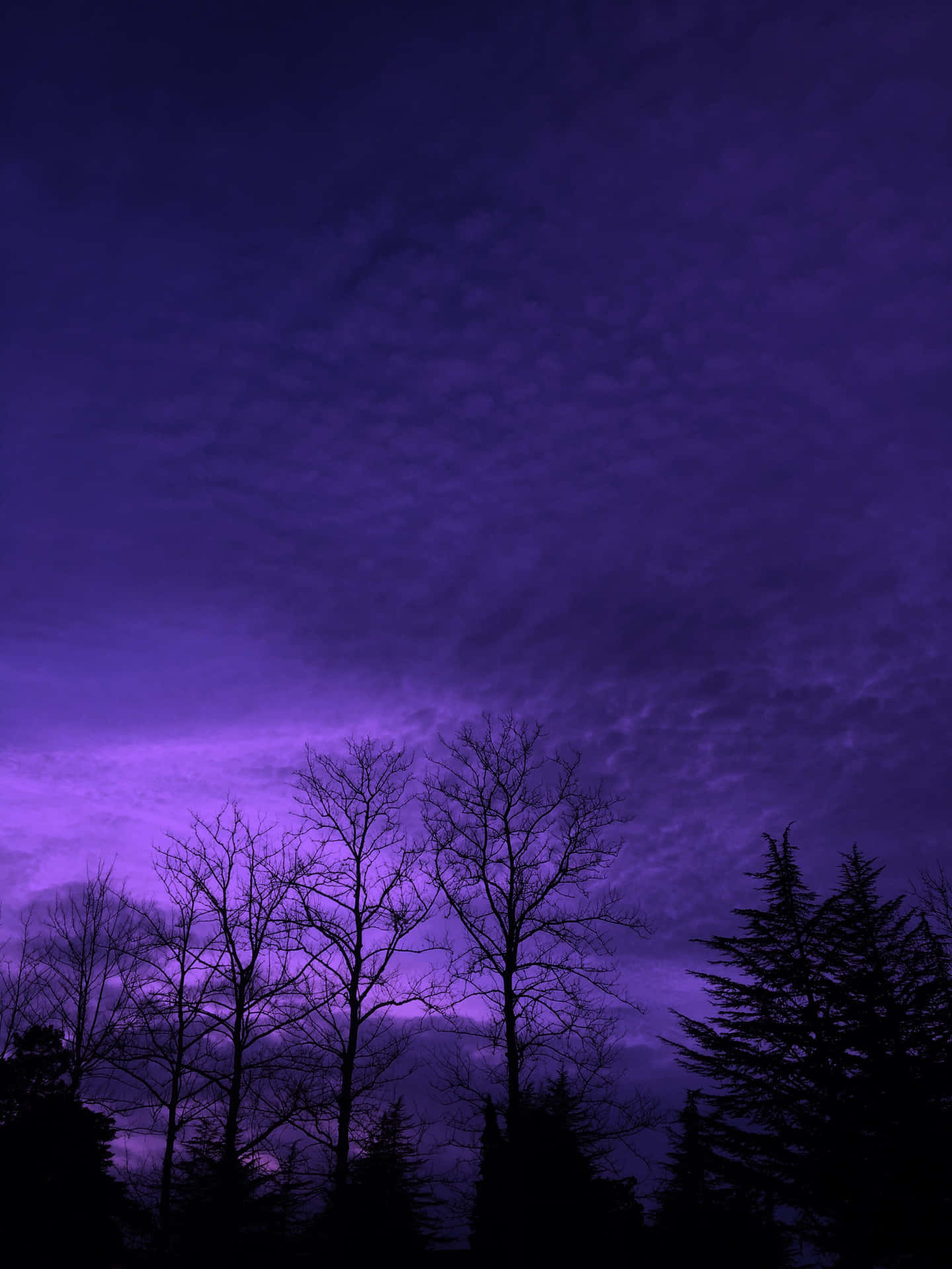 Aesthetic Nature With A Purple Sky Wallpaper