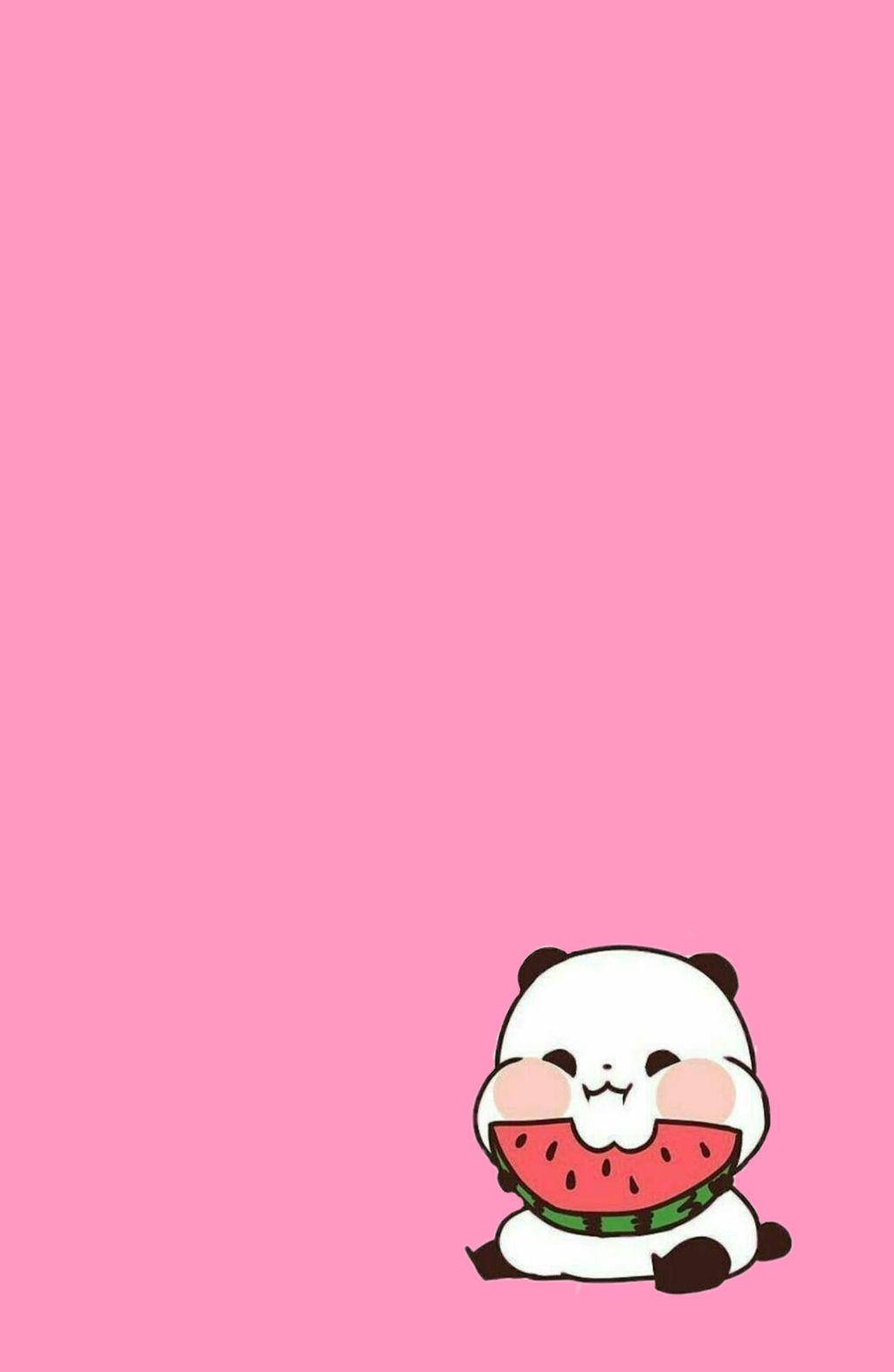 Aesthetic Panda Eating Watermelon Wallpaper