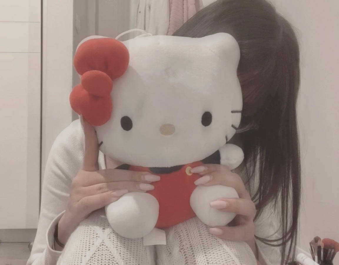 Aesthetic Plushy Hello Kitty Pfp Wallpaper