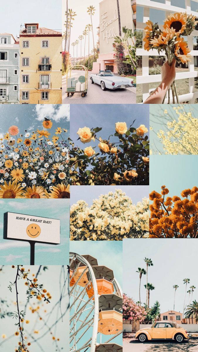 Aesthetic Spring Iphone Screen Theme Wallpaper