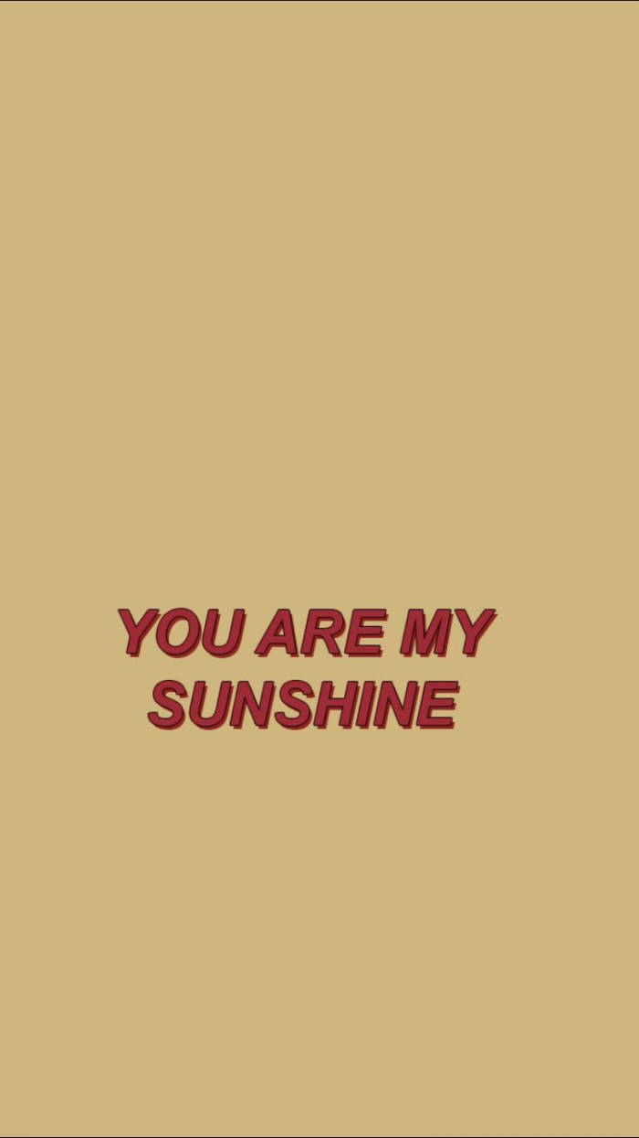 Aesthetic Tumblr Quotes Sunshine Wallpaper