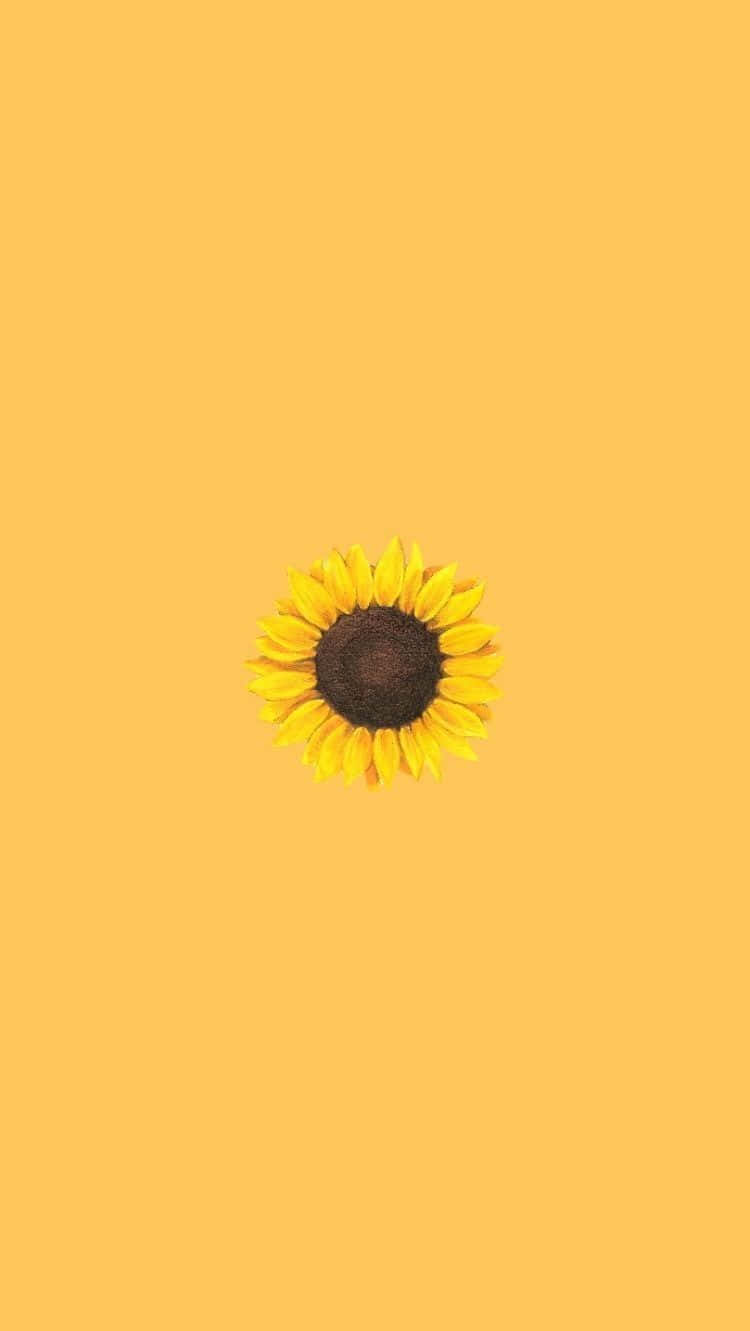 Aesthetic Yellow Iphone Wallpaper