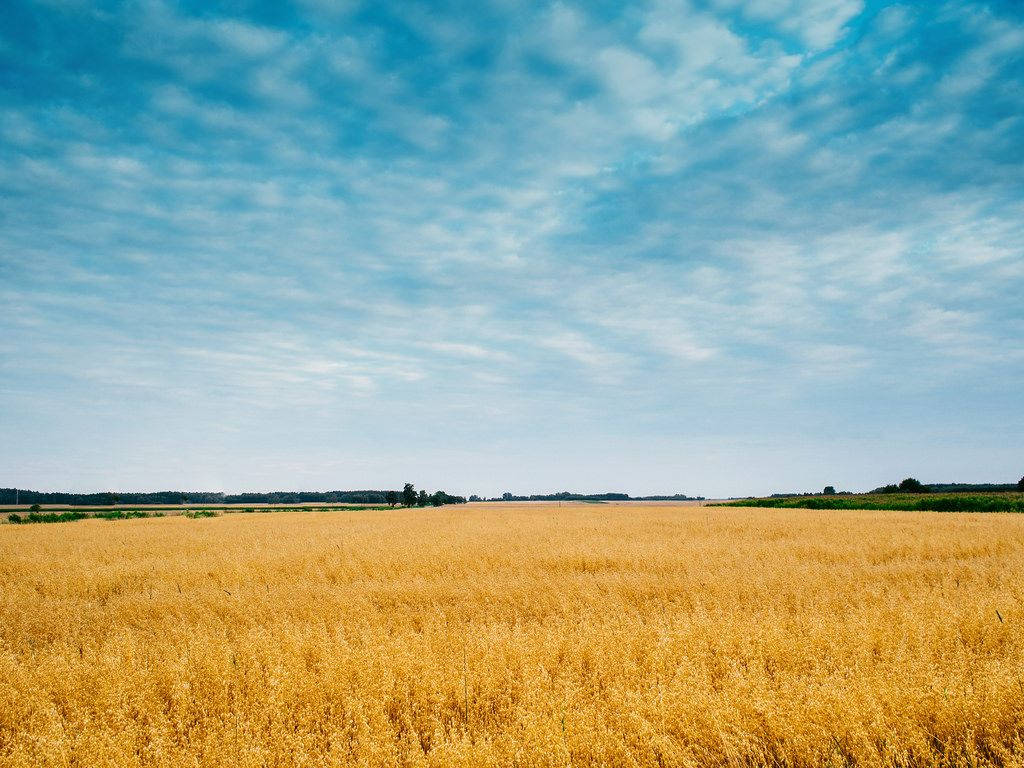 Agriculture Farming Field Wallpaper