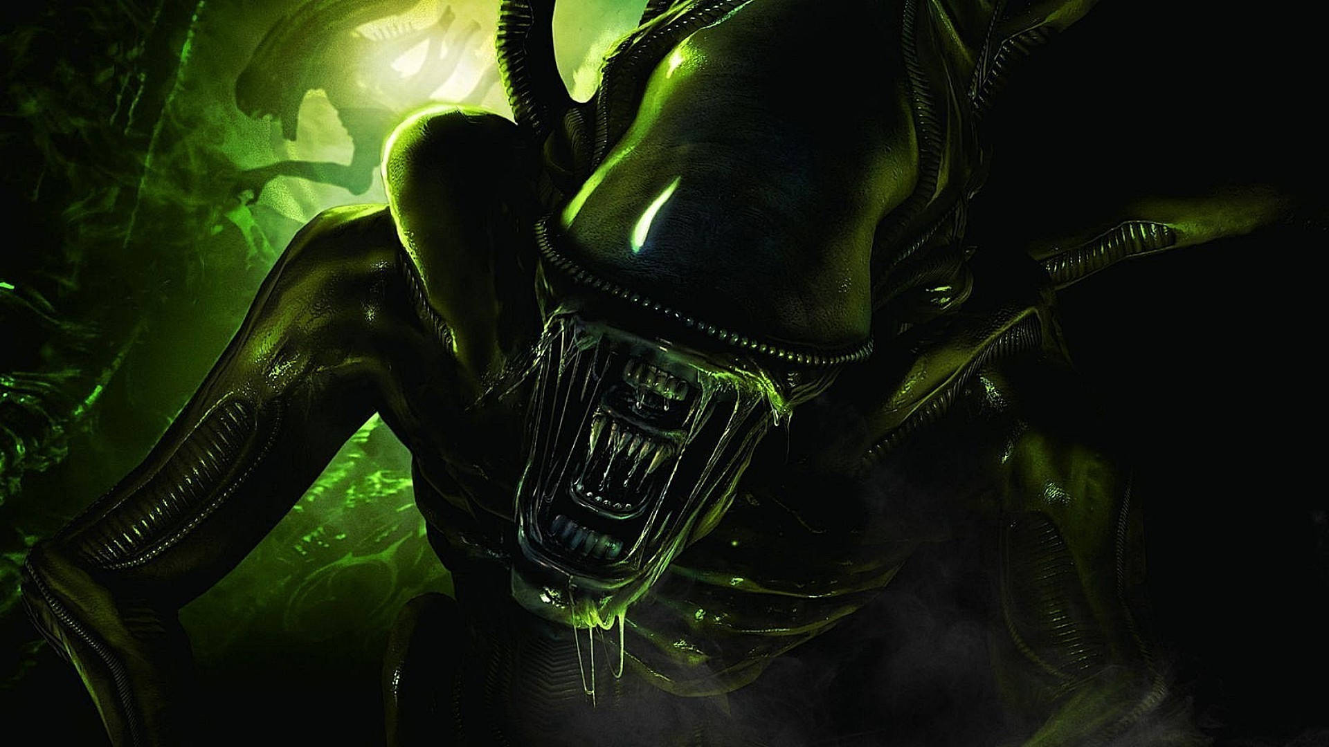 Alien 1979 Sci fi Horror Movie Wallpaper WallpapersOK