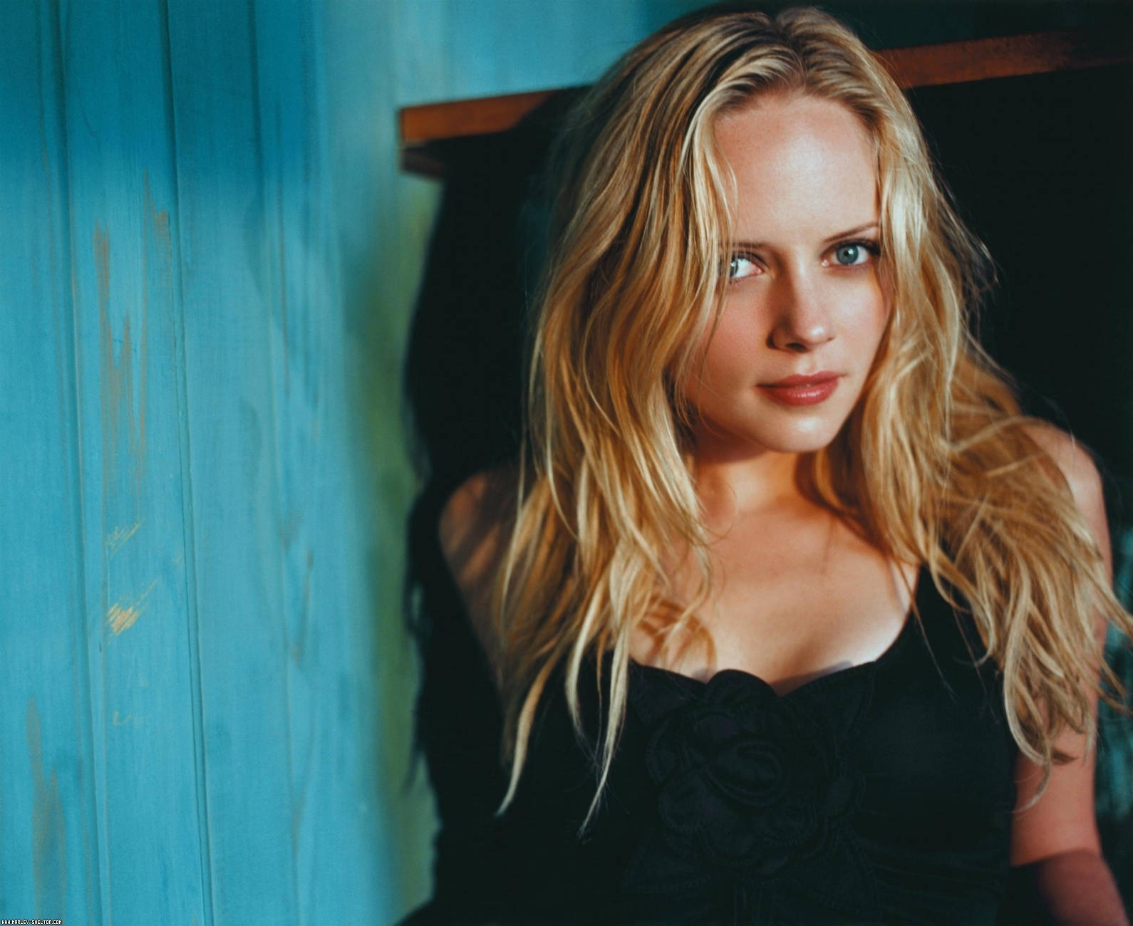 American Actress Marley Shelton Photoshoot Wallpaper