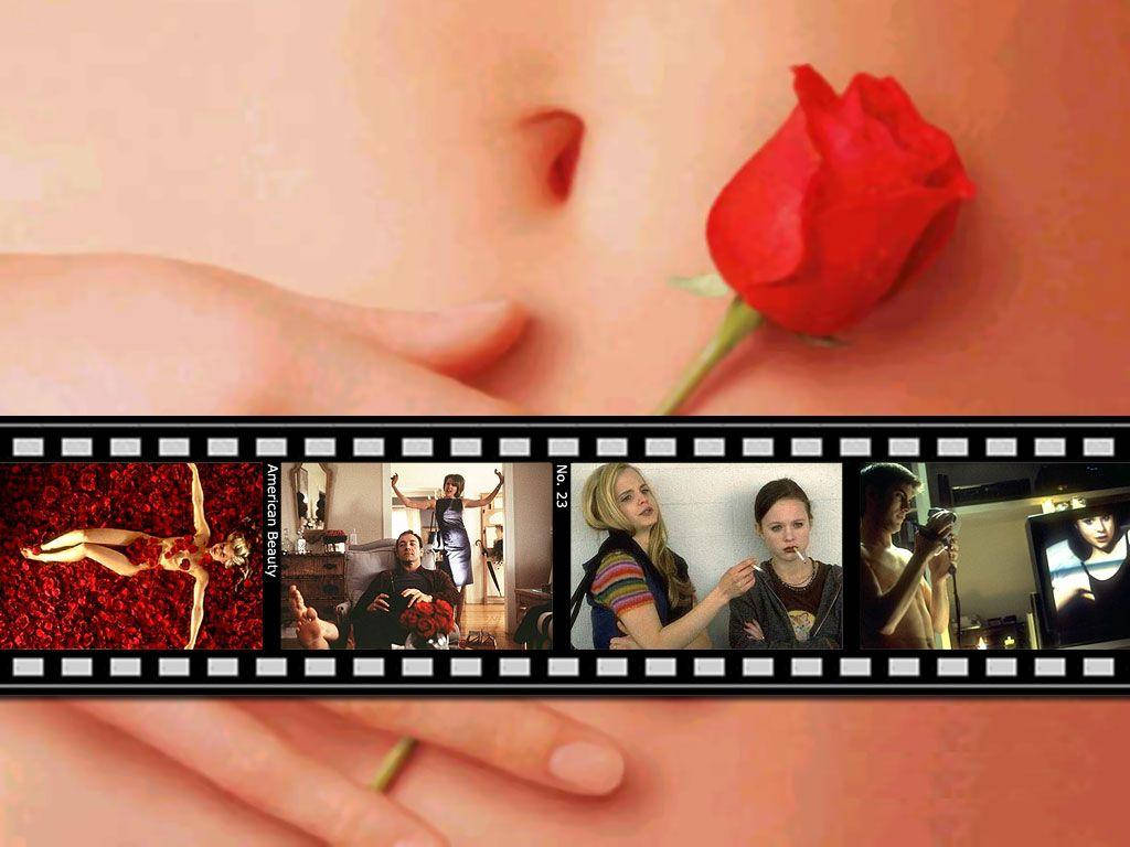 American Beauty Film Clips Wallpaper