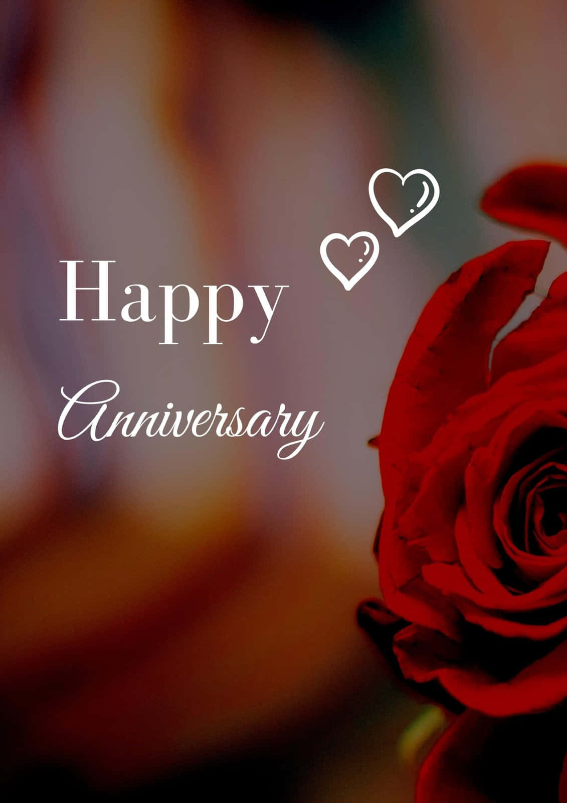 Anniversary With Elegant Red Rose Wallpaper