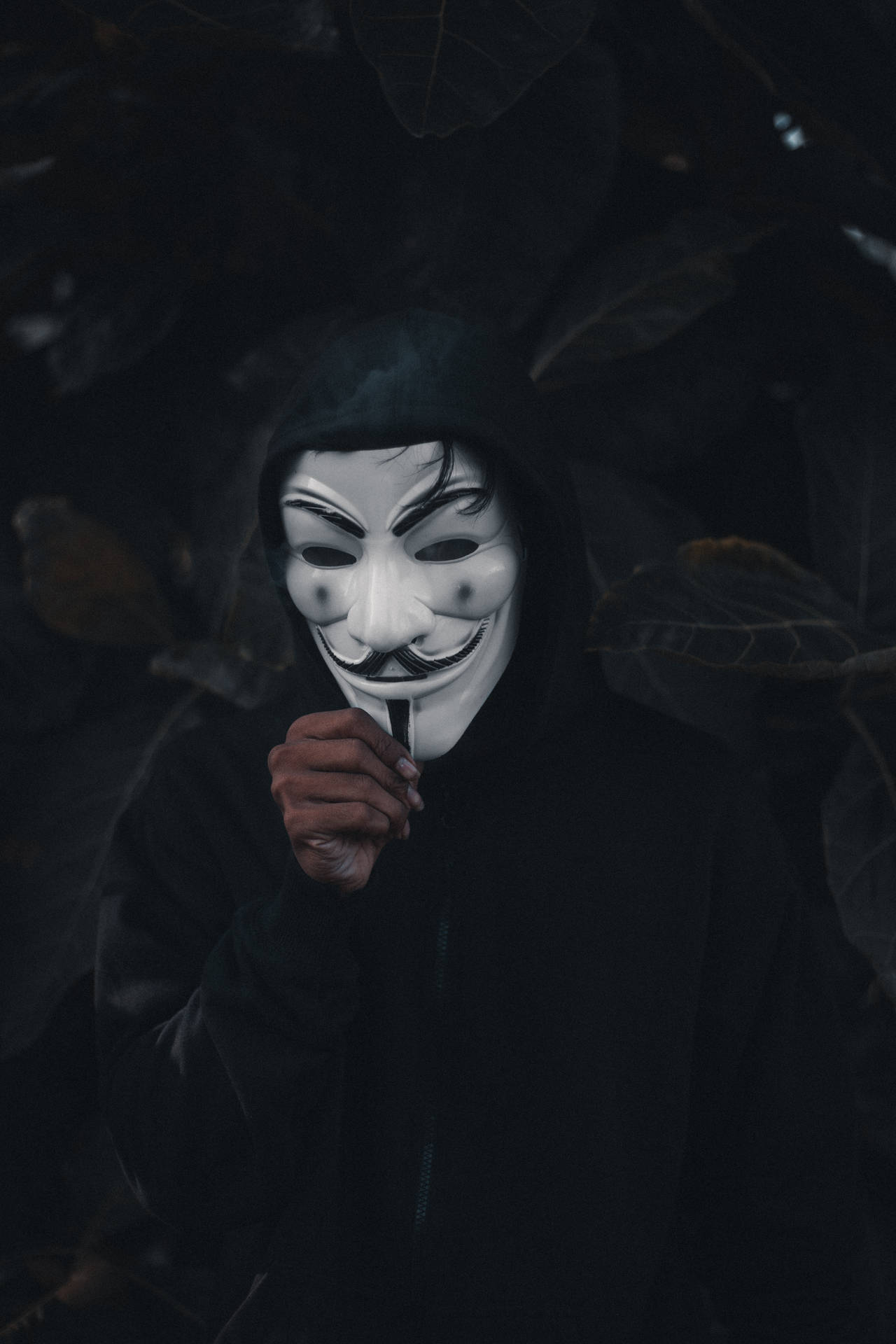 Anonymous Is The Symbol Of Freedom From Oppression Wallpaper