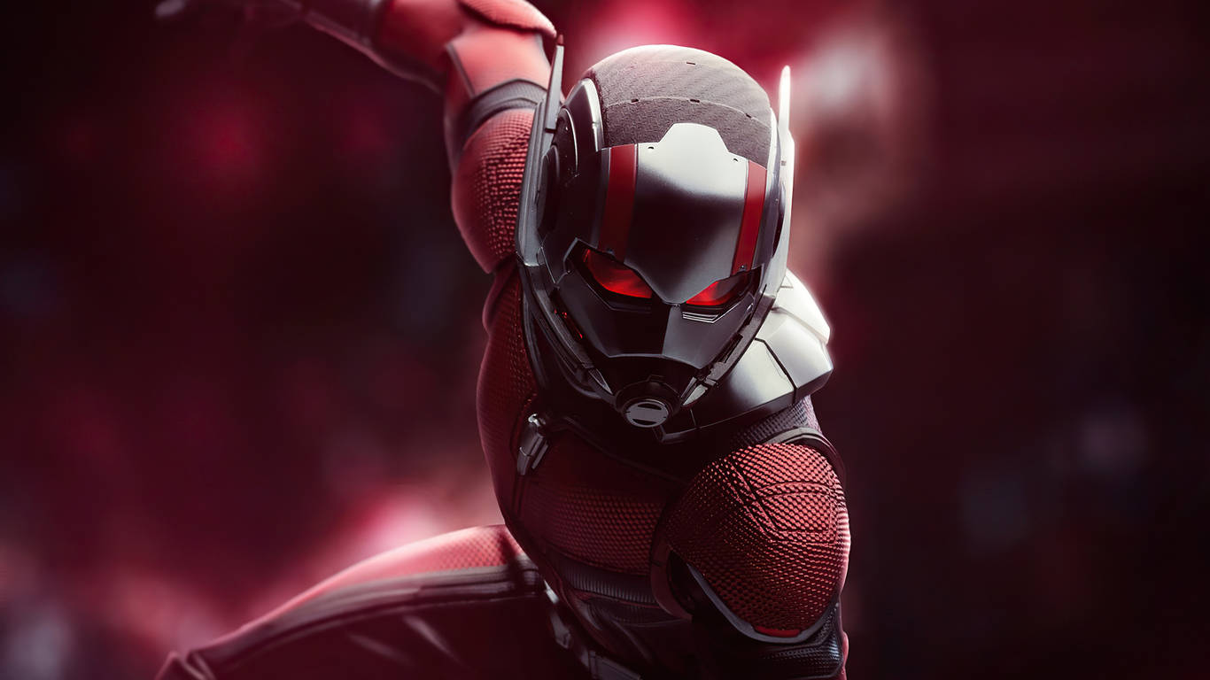 Ant Man In Fight Mode Wallpaper