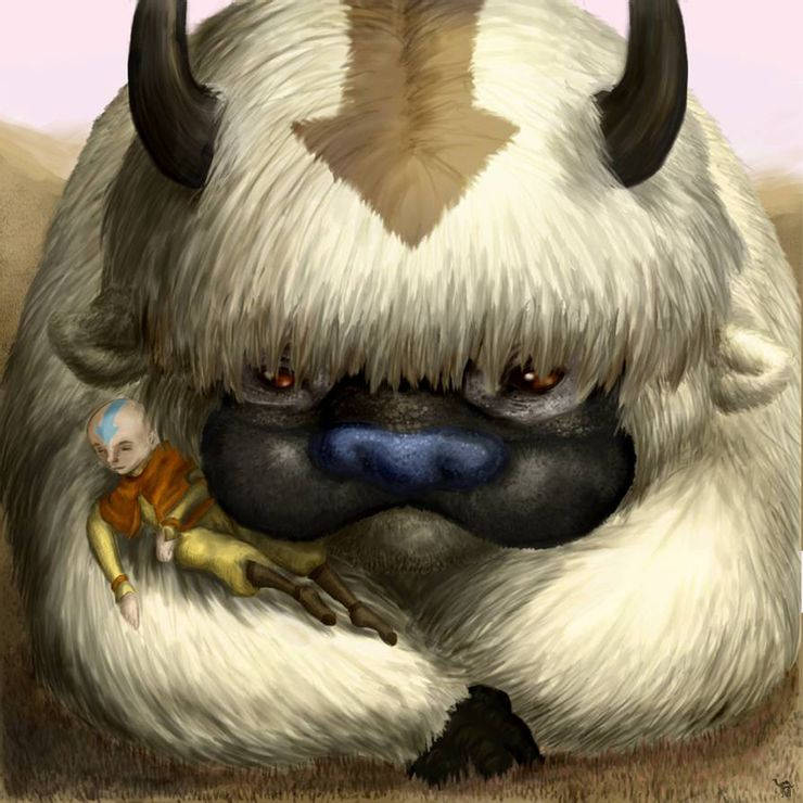 Appa Close-up Shot Wallpaper