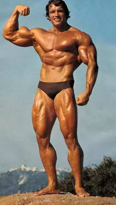 Arnold Schwarzenegger Bodybuilders Hd Wallpaper