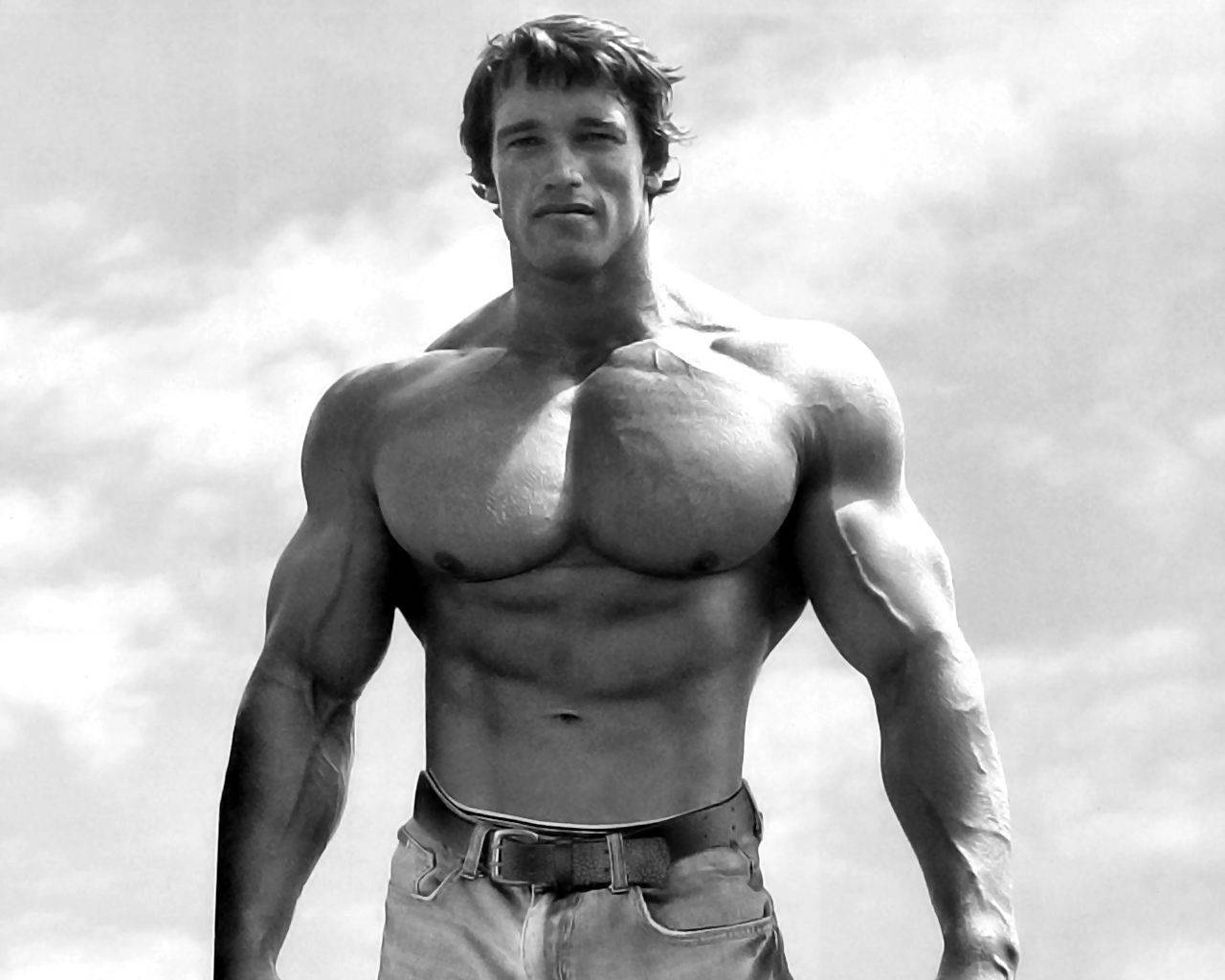 Arnold Schwarzenegger Hd Wallpaper Wallpaper