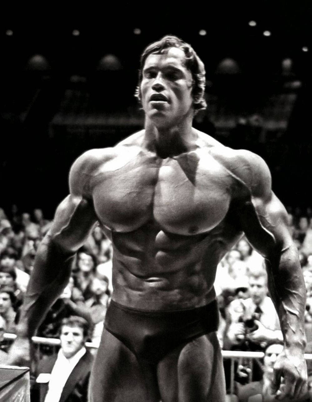 Arnold Schwarzenegger In Black And White Wallpaper