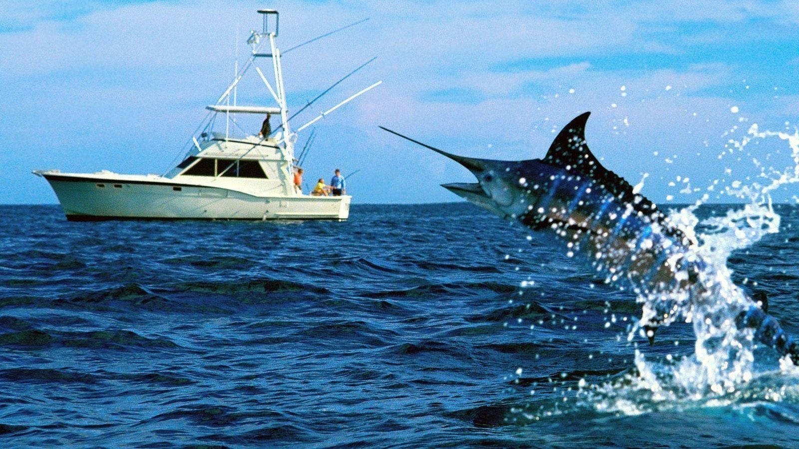 Astonishing Swordfish Jumping Out Wallpaper